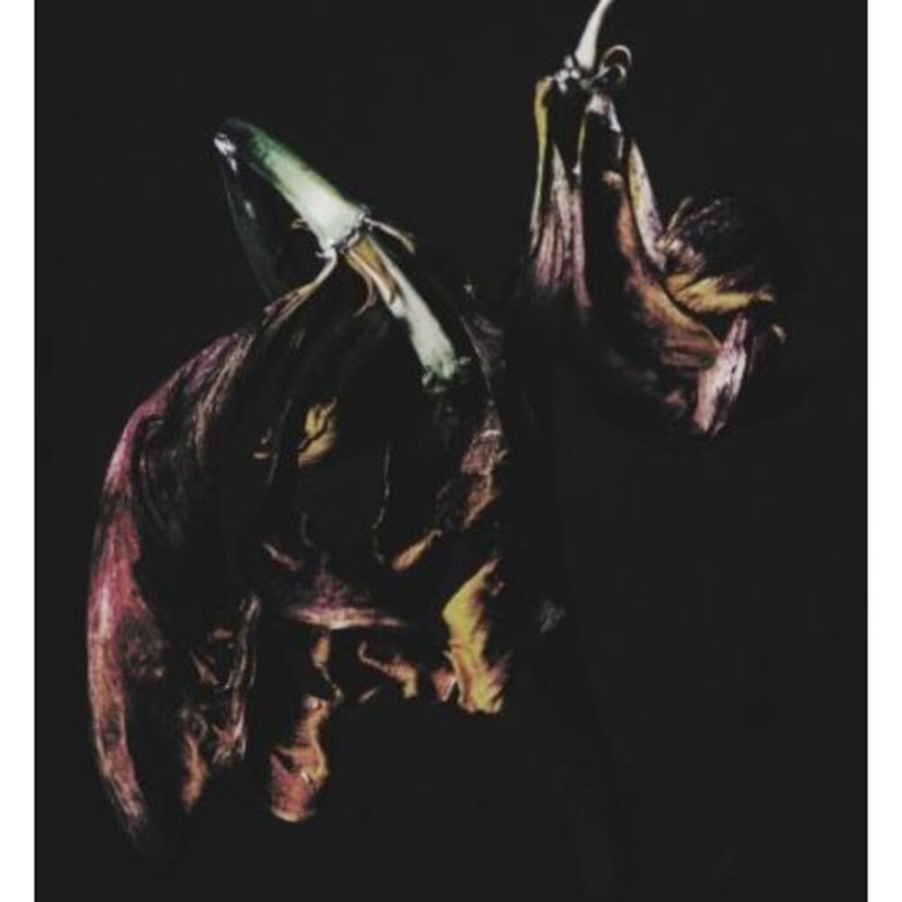 TRAAMS - Grin  CD